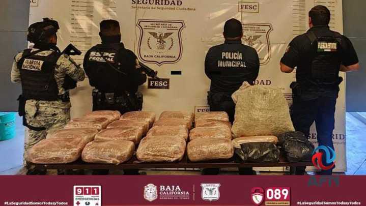 Decomisan droga "abandonada" en un camellón