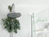 Why I always keep a dish brush in my shower for a spotless clean