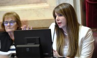 El Senado dio media sanción a un proyecto que agrava penas por siniestros viales