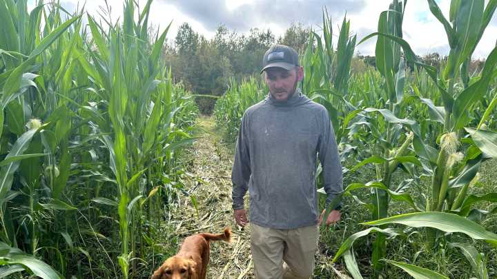 Seacoast farms fall fun: 2025 guide to corn mazes, apple picking, more