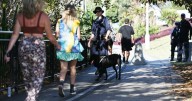 'Hands off': cops get message in strip