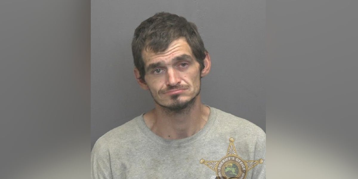Alert from flock camera leads to arrest for theft for guns and truck, police say