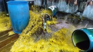 Operativo ejecutado en el marco del Plan Ayacucho con apoyo de unidades especializadas