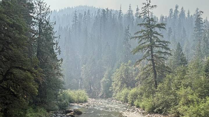 Lawyer: Oregon firefighter arrested by Border Patrol while fighting wildfire had been waiting 7 years for legal status