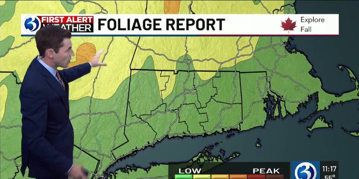 Technical Discussion: Partly sunny today, shower chances rise this week