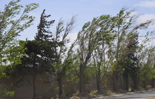 Alerta por vientos fuertes en el centro y norte de la provincia