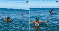 "Casi te pesca": Pelícano interrumpe el baño de Daniela Reyes en las playas de Miami y le da tremendo susto