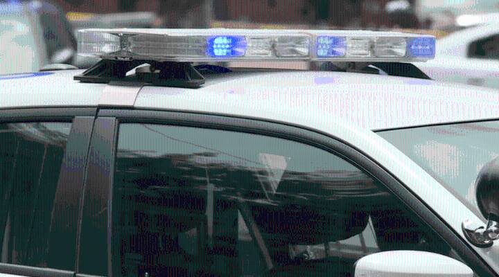 MPD: Son beat mom with branch, tried to throw her from balcony