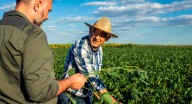 Agricultores y ganaderos podrán recibir hasta 20.000 € por explotación