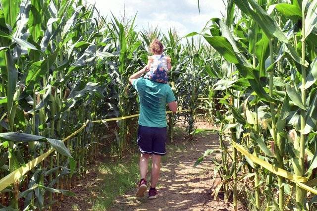 Uncle Shucks Corn Maze ranks in the top 10 mazes nationwide