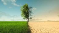 Editorial: Climate scare campaign is just game play