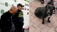Capturan en Bogotá a hombre acusado de robar y abusar sexualmente de mascotas