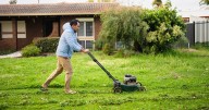 September garden rule to follow for the healthiest grass in the spring