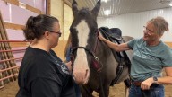 Peace in the pasture: Horses helping people heal in Clay County