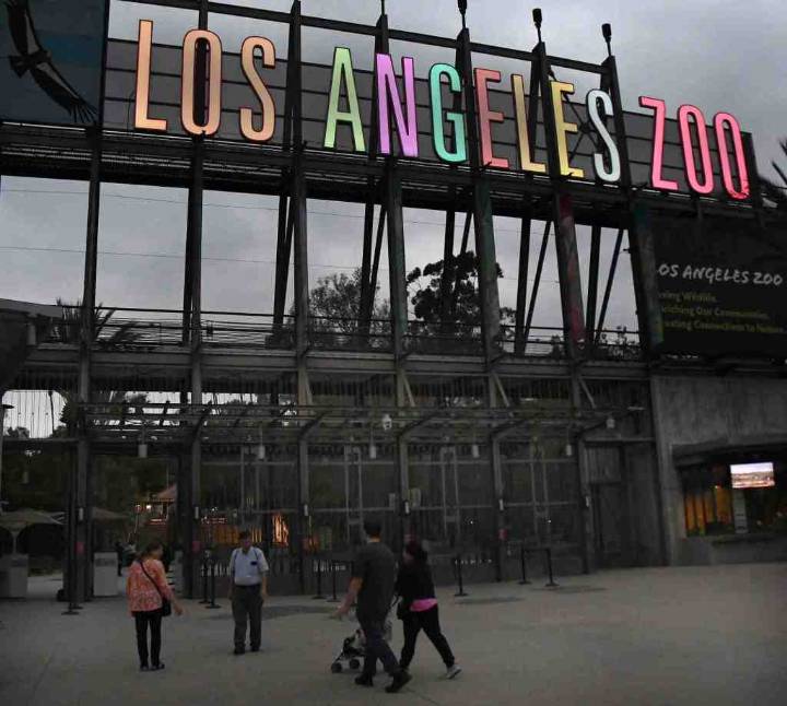 Los Angeles landmarks are lit up to celebrate 4th anniversary of LA For All campaign