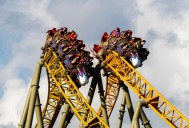 Exec Says Roller Coaster "Functioned As Intended" Prior To Rider's Death
