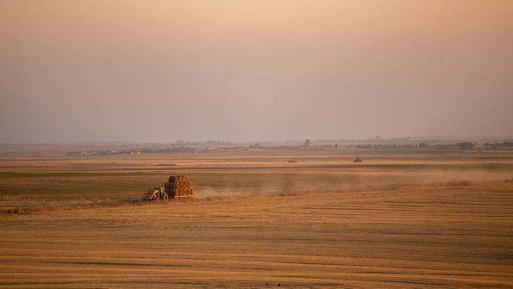 La tierra de cultivo sigue encareciéndose en Castilla y León con subidas del 23% en secano y el 13% en regadío en el último lustro