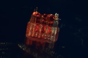 3D Printing Offering Hope For Spinal Cord Injuries