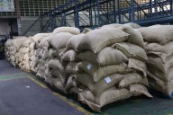 Venezuela en 2 meses ha enviado 300 toneladas de cacao a Rusia