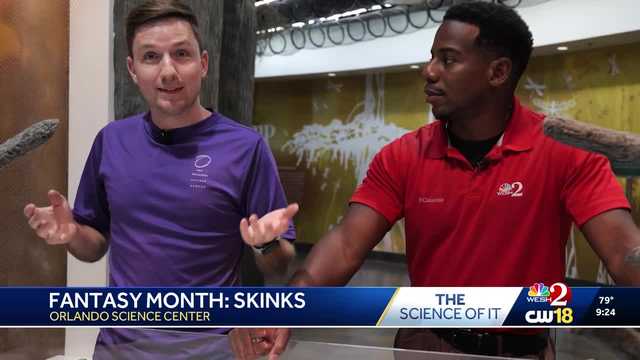 Meet the Skinks of the Orlando Science Center