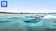 Workers 'chuck a sickie' for holiday won in Sunshine Coast tourism campaign