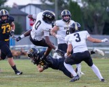WISE GUY: Week 2 picks should be even better this time around