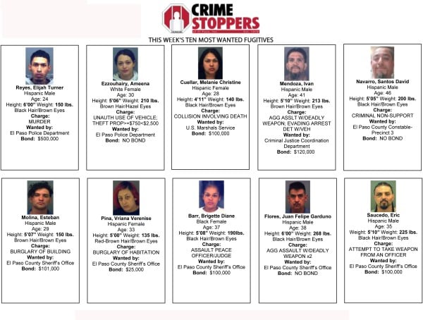 Los más buscados de la semana