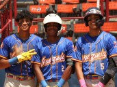Sub-15 avanzó a la final del Panamericano
