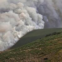 Spain PM says planning for deadly wildfires 'clearly insufficient'