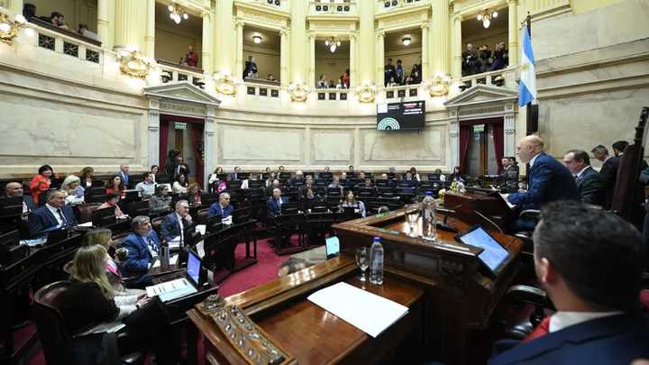 Fuerte derrota del Gobierno: el Senado rechazó el veto a la emergencia en Discapacidad