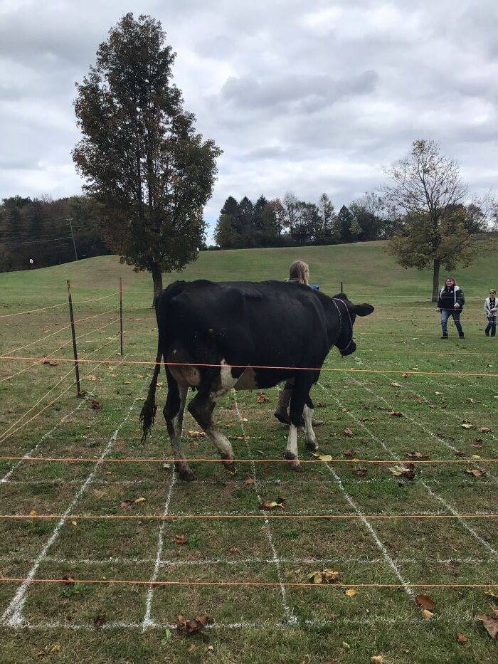 Minisink Fall Farm Festival set for October 4th