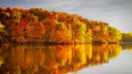When will leaves change color? A map of fall foliage in Illinois