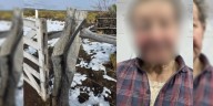 Violento robo en un campo de Neuquén: maniataron a un hombre de 72 años y casi muere asfixiado