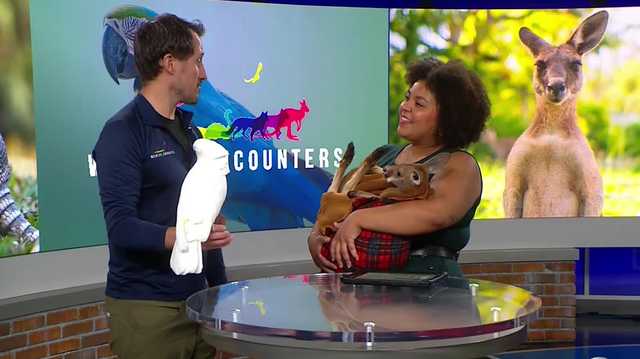 WATCH: Things get wild when local animal organization brings live animals to the studio