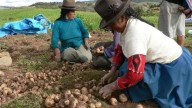 Se promulga la Ley Agraria: ¿Cuáles son los beneficios para las empresas y los pequeños productores?