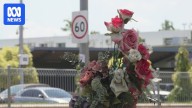 Family of Aboriginal man killed in Darwin hit-and-run speak out over driver's sentence