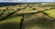 Beyoncé and Jay-Z buying 58 acres of UK land to build mansion