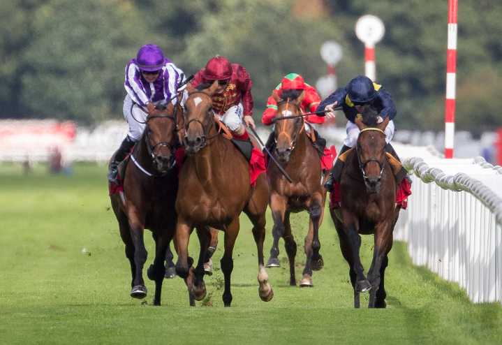 Bets for the St Leger and Champions Day