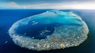 29 millones de kilos de basura: Así limpian la mayor isla de plástico