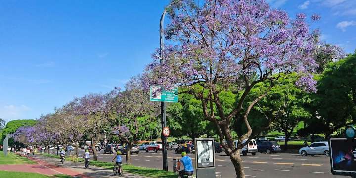 Cuáles serán los días más calurosos de la semana en CABA