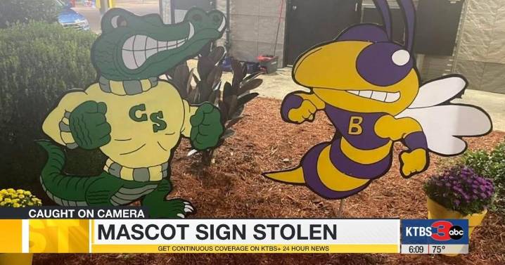 Caught on camera: Couple stealing mascot sign from Sonic drive