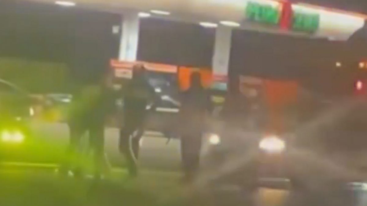 Traileros y taxistas agreden a policías durante riña campal en Arteaga