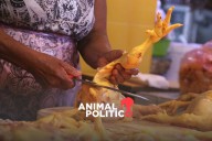 Inflación se ubicó en 3.74 % en primera quincena de septiembre; sube precio del pollo y carne de res