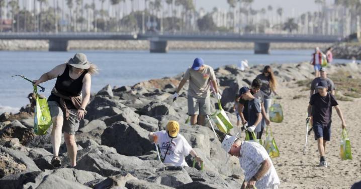 Cleaning the coast, today, is a positively Californian thing to do