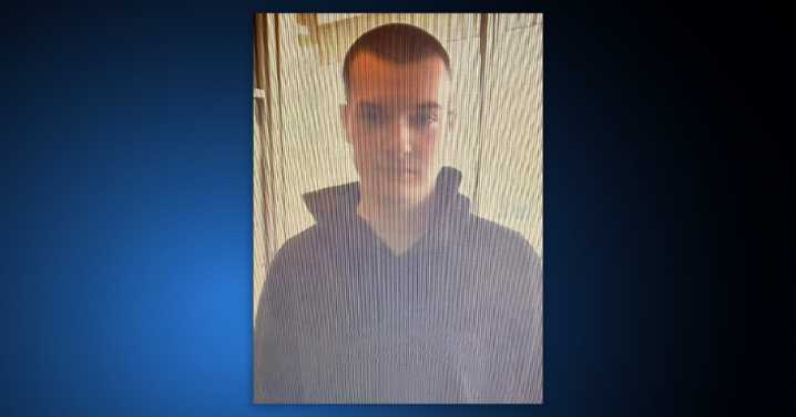 Hamburg police ask for public assistance in locating missing teen