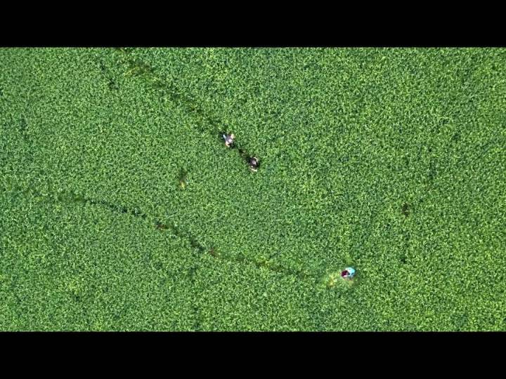 See how drone is used to find missing local woman