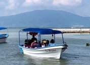 Pescadores de Ocotlán que trabajan en el lago de Chapala piden apoyo económico al gobernador
