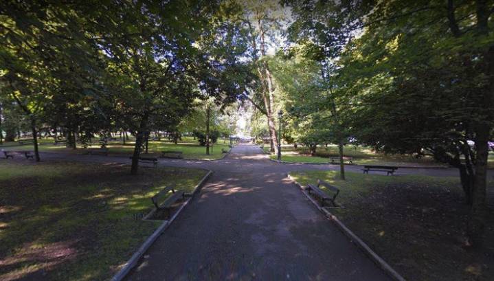 El Ayuntamiento inicia el saneamiento de casi 200 árboles del Parque Manuel Barquín