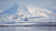Alaska under tsunami advisory after Russian earthquake