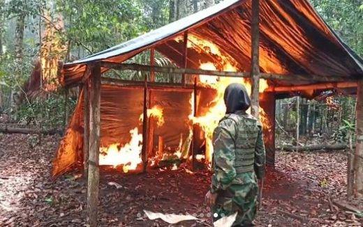 Fanb se adjudicó la destrucción de otro campamento de la guerrilla colombiana en Amazonas